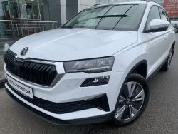 Skoda Karoq, 2023